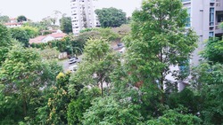 Holland Hill (D10), Apartment #205024611